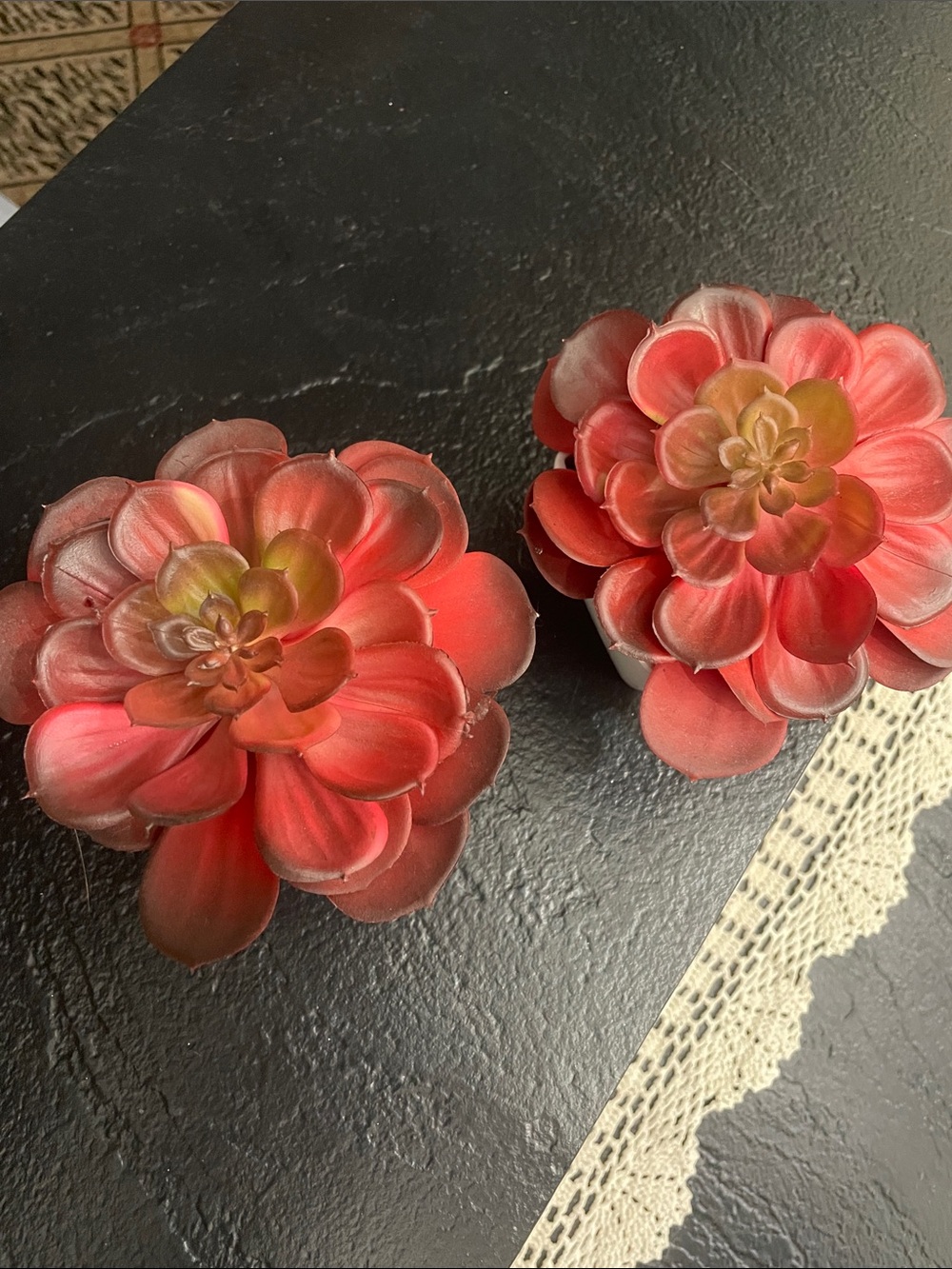 Red Faux Succulent Pair in White Ceramic Pots - Home Accents - Picture 6 of 6
